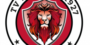 TV Bedburg Handball
